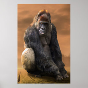 Poster Gorila, prata de volta ao entardecer