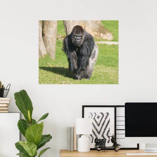 Poster Gorila Silverback – Um Momento de Poder (Escritório em casa)