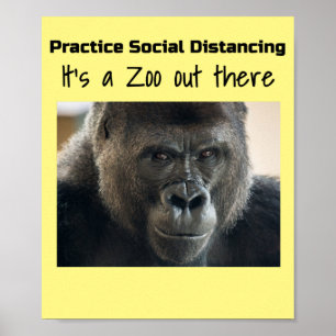 Poster Gorilas na Riot Midst Corona de Funnycomb