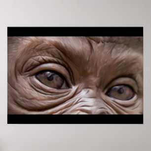 Poster gorilla