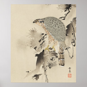 Pôster Goshawk asiático - 1890