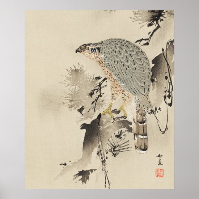 Pôster Goshawk asiático - 1890 (Frente)