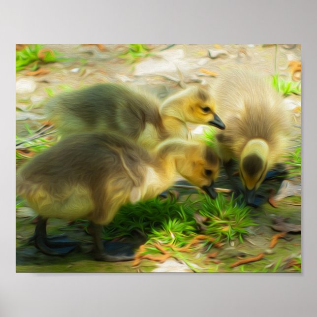 Pôster Gosling (Frente)