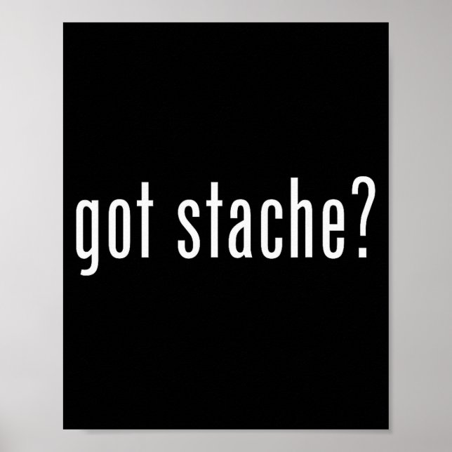 Poster Got Stache_ Respeite O Bigode Amantes Do Bigode Mú (Frente)