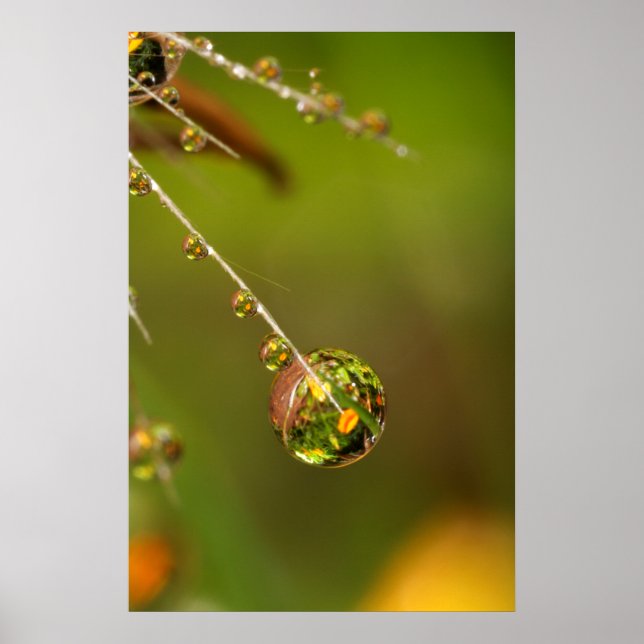 Poster Gota de Água Close Up (Frente)