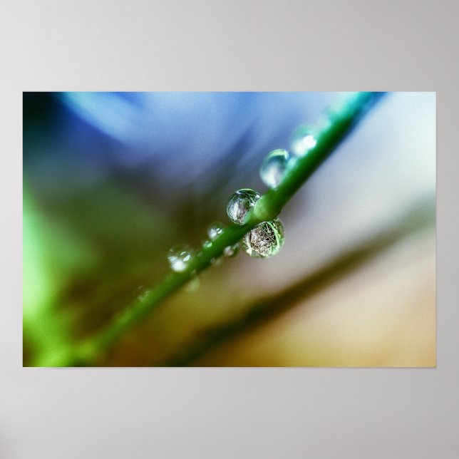 Pôster Gotas (Frente)