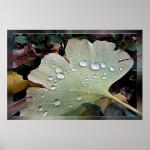 Poster Gotas de chuva