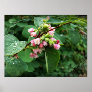 Poster gotas de chuva