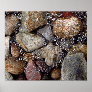 Poster - gotas de chuva na teia de aranha sobre as