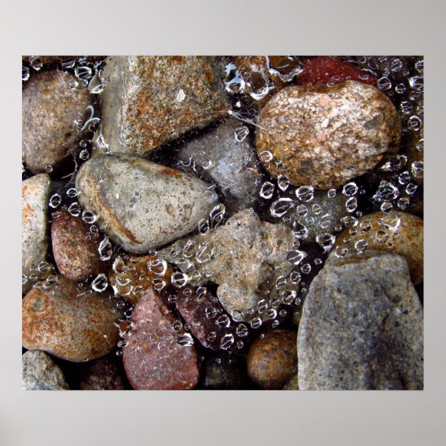 Poster - gotas de chuva na teia de aranha sobre as (Frente)