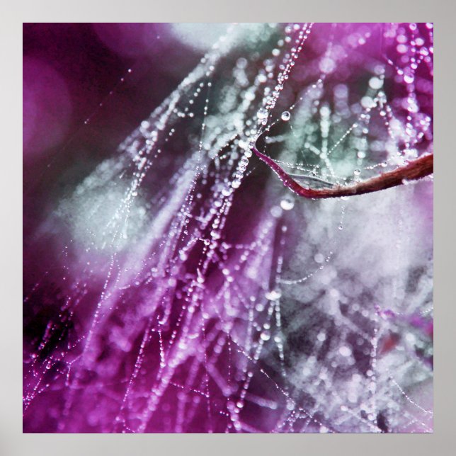 Poster Gotas de chuva no Abstrato de Macro Cobweb Roxo (Frente)