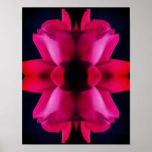Poster Gotas De Chuva No Red Rosebud Abstrato