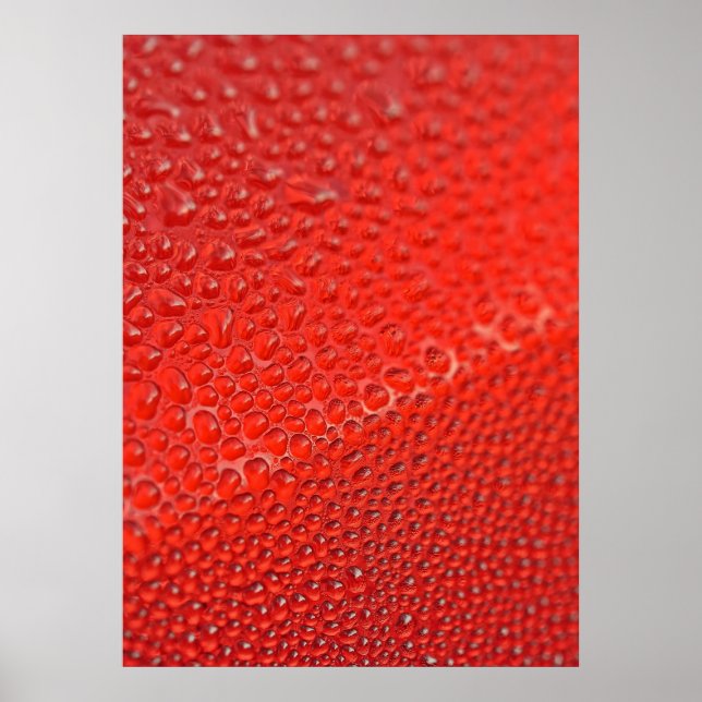 Pôster Gotas de orvalho matinal (Frente)