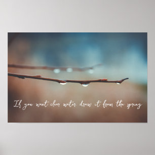Poster Gotículas de chuva em um galho de árvore