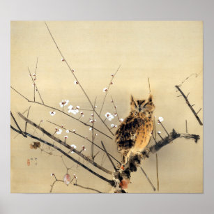 Pôster Goun Owl com Blossoms de ameixa antecipada
