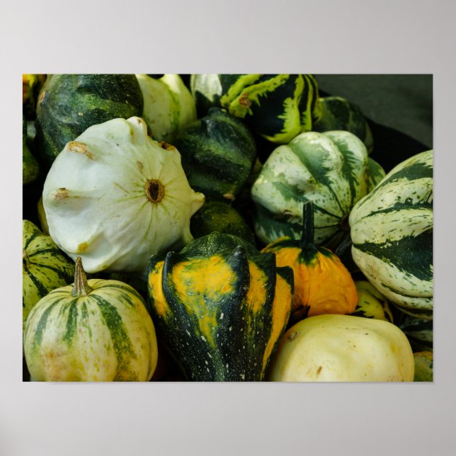 Poster Gourds Galore (Frente)