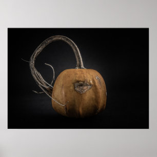 Poster Gourds n.o 15 Color Version