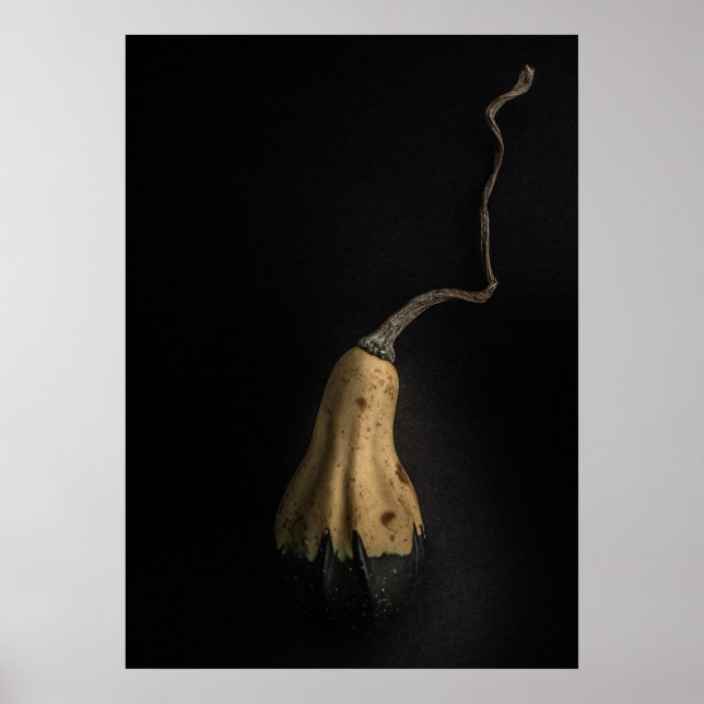 Poster Gourds No 12 Color Version (Frente)