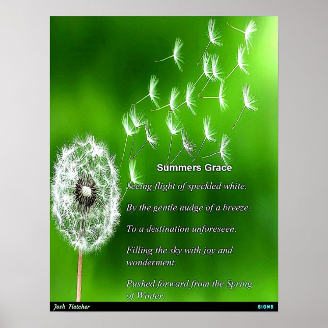Poster Graça de Verão (Frente)