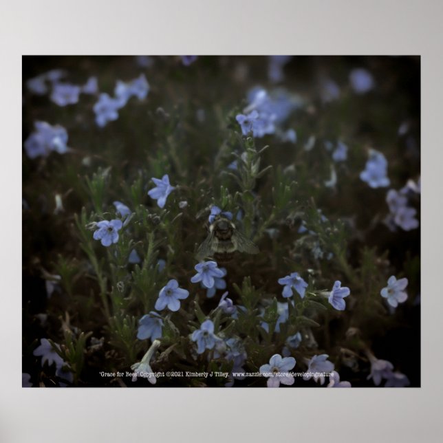 Poster Graça pelas abelhas (Frente)