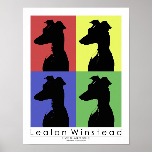 Poster Gracie Dreams (Frente)