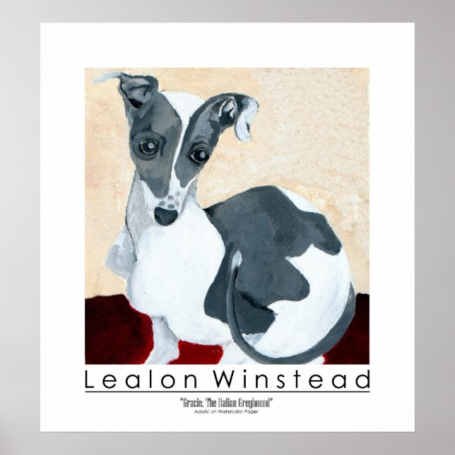 Pôster Gracie, O Grego Italiano (Frente)