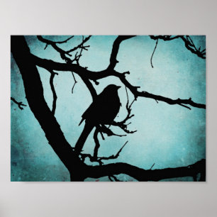 Poster Grackle