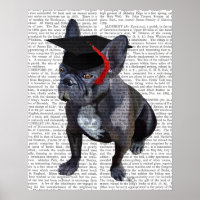 Graduação - Bulldog Francês