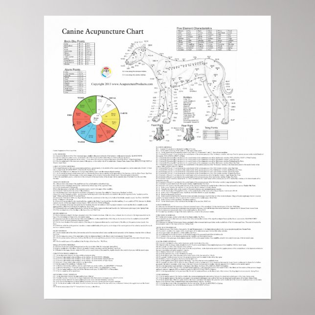 Pôster Gráfico de Acupuntura de Cães (Frente)