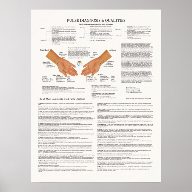 Poster Gráfico de Acupuntura de Diagnóstico de Pulso (Frente)