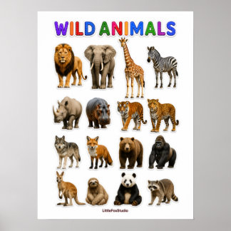 Poster Gráfico de animais selvagens