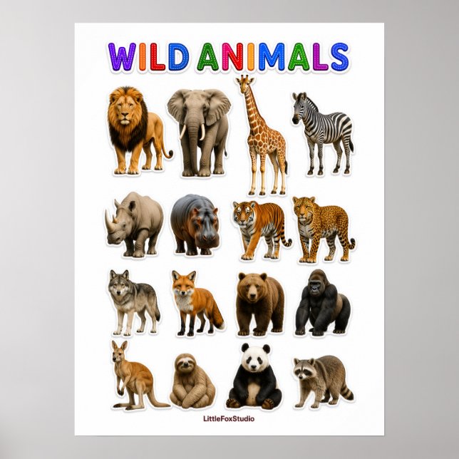 Poster Gráfico de animais selvagens (Frente)