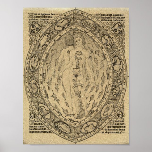 Poster Gráfico de Atrologia Zodiac Vintage (Frente)