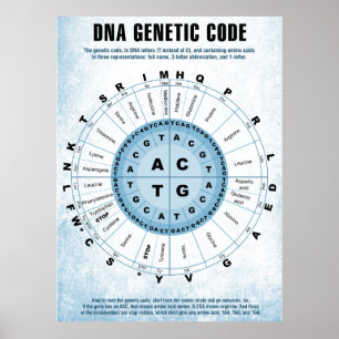 Pôster Gráfico de Código Genético de DNA