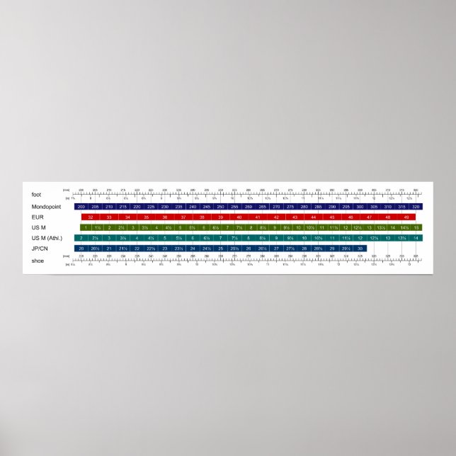 Pôster Gráfico de Comparação do Tamanho do Calçado Mascul (Frente)