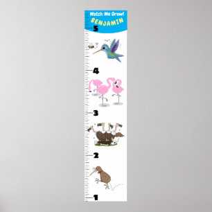 Poster Gráfico de crescimento de animação de aves engraça