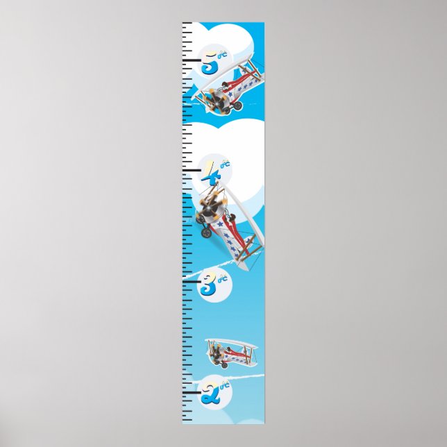 Poster Gráfico de crescimento de biaviões (Frente)