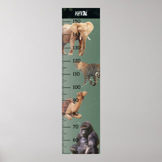 Poster Gráfico de Crescimento dos Animais Selvagens