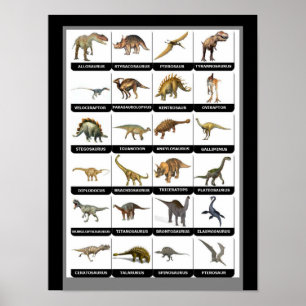 Poster Gráfico de dinossauros