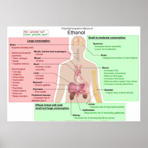 Pôster Gráfico de Efeitos a Longo Prazo da Indigestão de