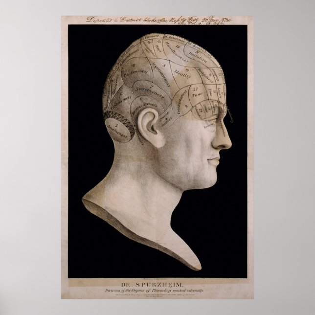 Pôster Gráfico de frenologia do Dr. Spurzheim (Frente)
