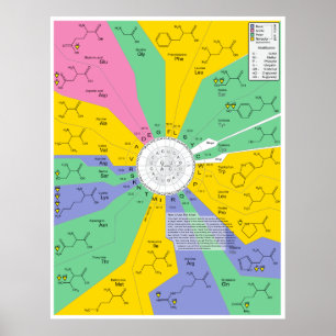 Poster Gráfico de Identificação de Moléculas Químicas com