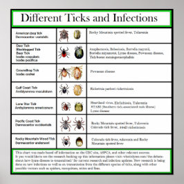Pôster Gráfico de Infecções e Infecções Diferentes
