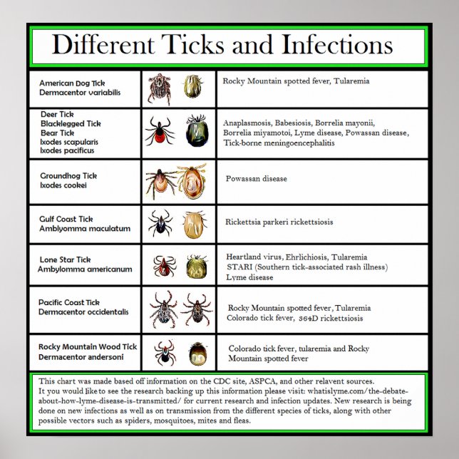 Pôster Gráfico de Infecções e Infecções Diferentes (Frente)