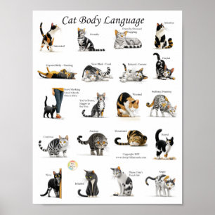 Poster Gráfico de Linguagem Corporal de Gatos