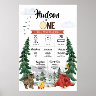 Poster Gráfico de marco de primeiro aniversário de um Fel