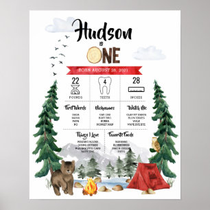 Poster Gráfico de marco de primeiro aniversário de Um Fel