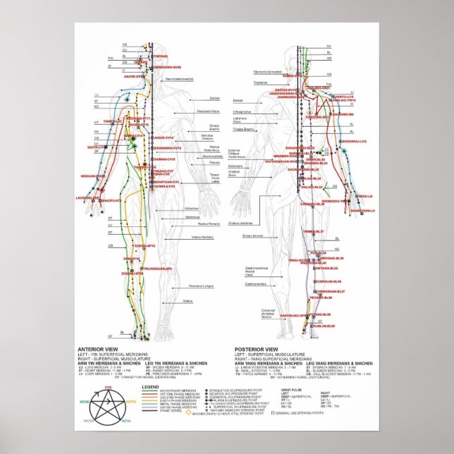 Poster Gráfico de Meridianos Humanos (Frente)