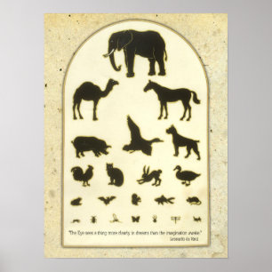 Poster Gráfico de Olhos Animais ~ Citação Leonardo da Vin