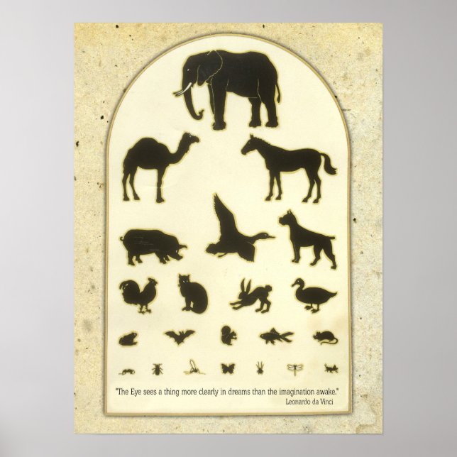 Poster Gráfico de Olhos Animais ~ Citação Leonardo da Vin (Frente)